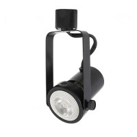 LED Gimbal BLACK track light with LED PAR20 flood light bulb