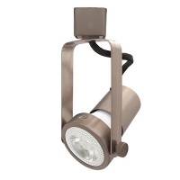 LED Gimbal SATIN NICKEL track light with LED PAR20 flood light bulb