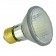 Track lighting 50 watt Par 20 halogen flood light bulb single